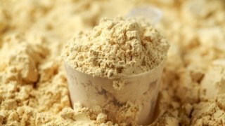 The Ultimate Guide to Buy Vegan High Protein Powder | Whole Nutrition