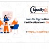 Lean Six Sigma Black Belt Certification Training Programme