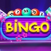 Live Bingo Game Cards - Play Bingo Online with Real-Time Action