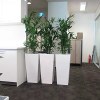 Office Greening